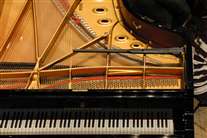 Click for large image